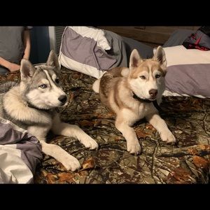 Meet your Posher, Michael